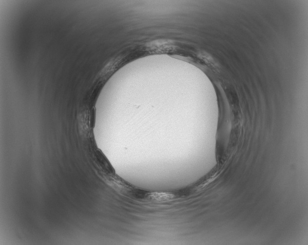 X0000052920429200508050808