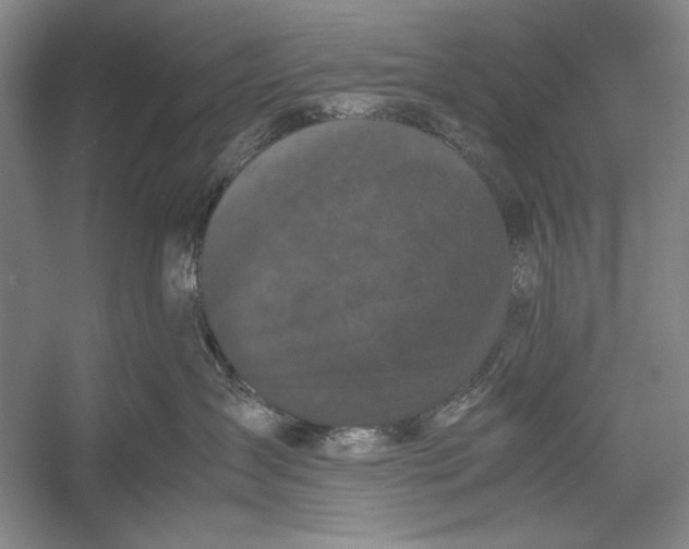 X0000052920431200508050808
