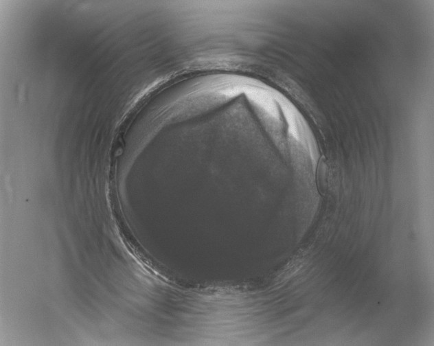 X0000052920434200508050807