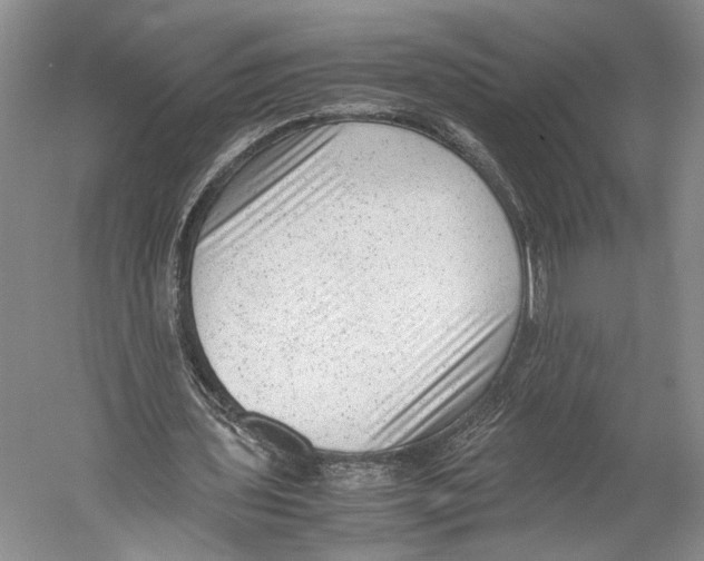 X0000052920435200508050807