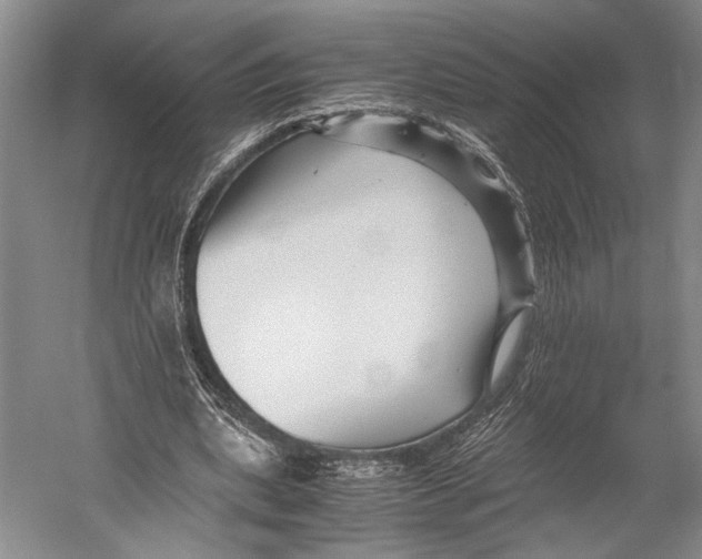 X0000052920439200508050807