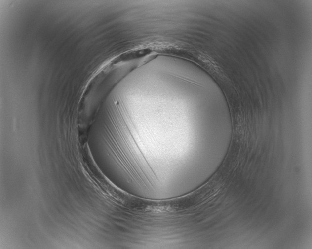 X0000052920440200508050807