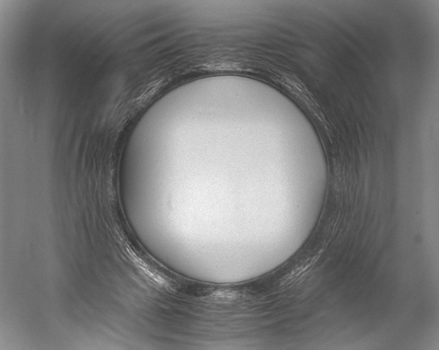 X0000052920441200508050807