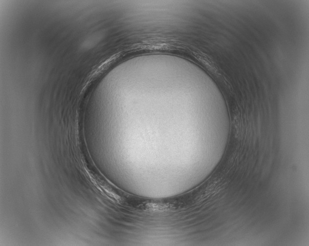 X0000052920442200508050807