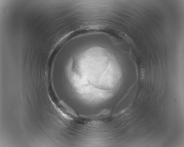 X0000052920444200508050807