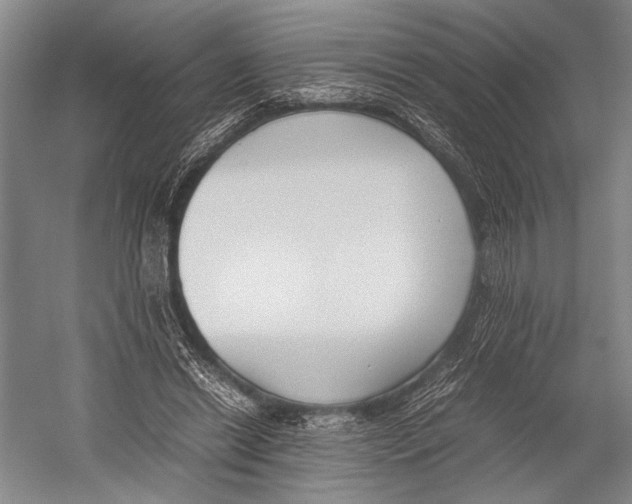 X0000052920446200508050807