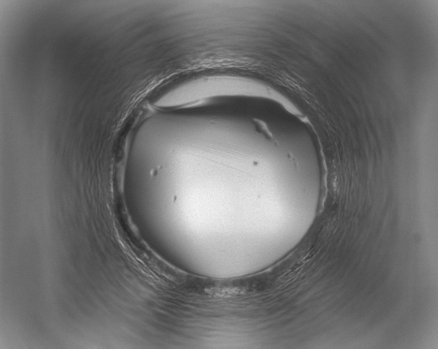 X0000052920448200508050807