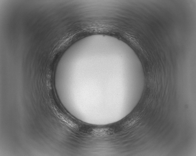 X0000052920450200508050807
