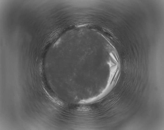 X0000052920451200508050808