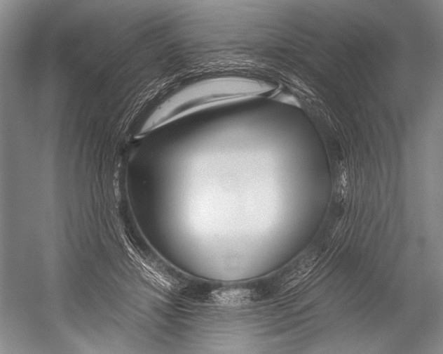 X0000052920452200508050808