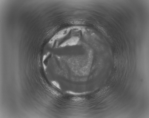 X0000052920453200508050808