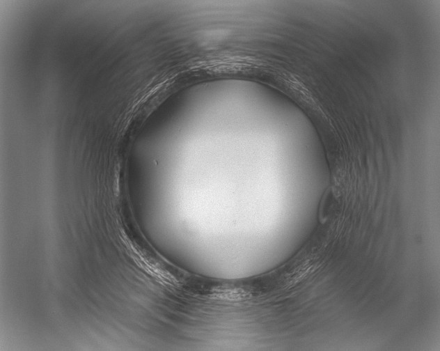 X0000052920454200508050808