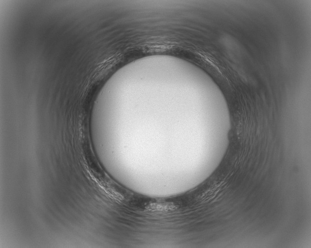 X0000052920455200508050808