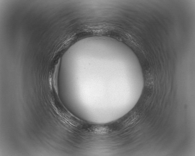X0000052920456200508050808