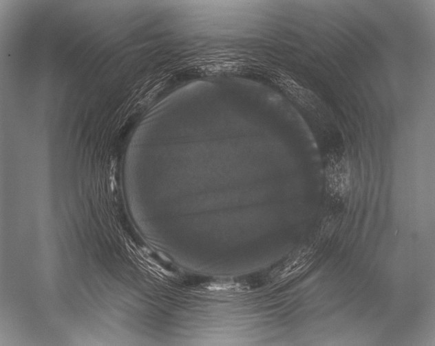 X0000052920458200508050808