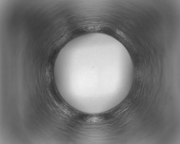 X0000052920460200508050808