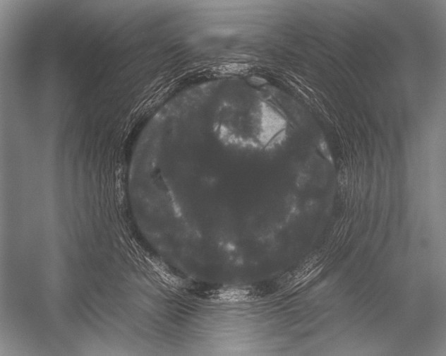 X0000052920462200508050808
