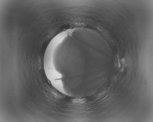 X0000052920465200508050808