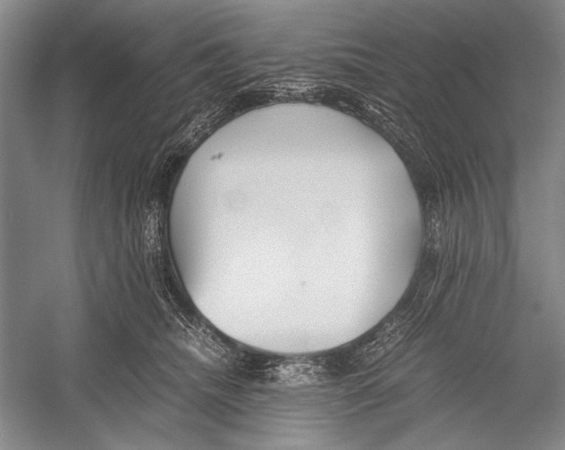X0000052920468200508050808