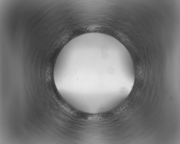 X0000052920470200508050808