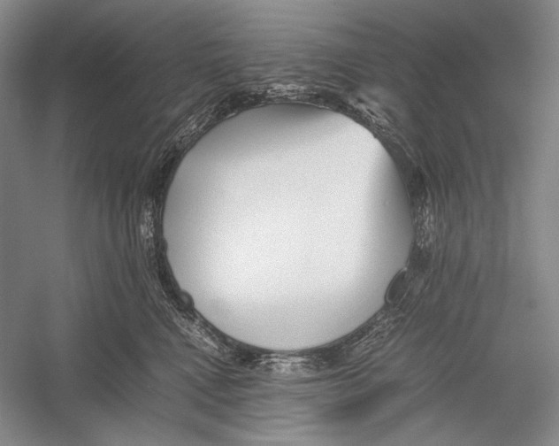 X0000052920472200508050808