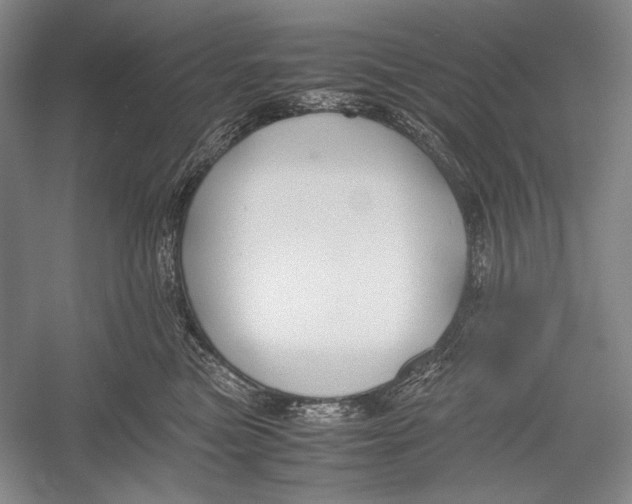 X0000052920473200508050808