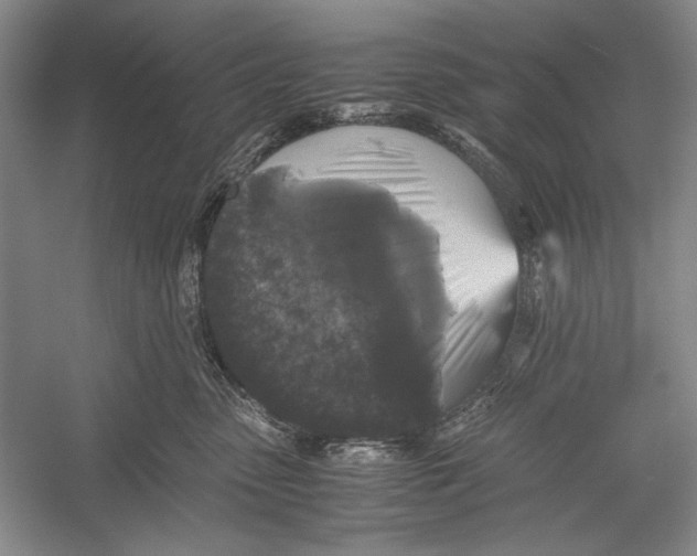 X0000052920475200508050808