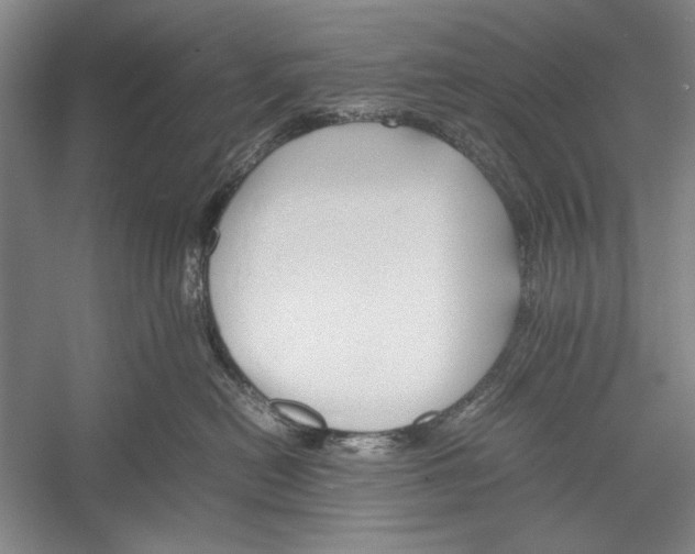 X0000052920478200508050808