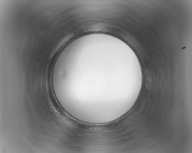 X0000052920482200508050807