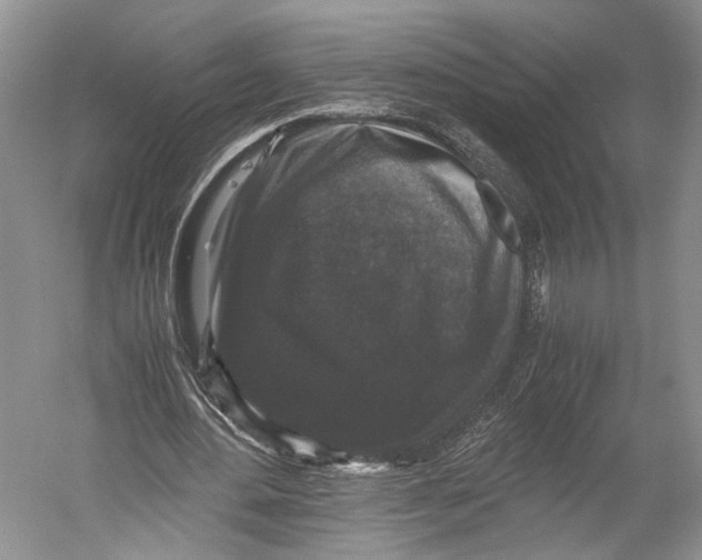 X0000052920484200508050807