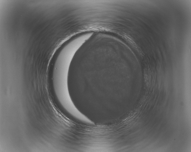 X0000052920488200508050807