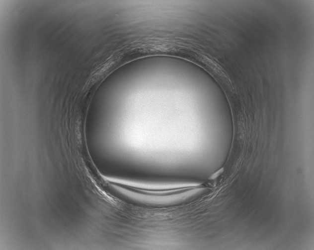 X0000052920489200508050807