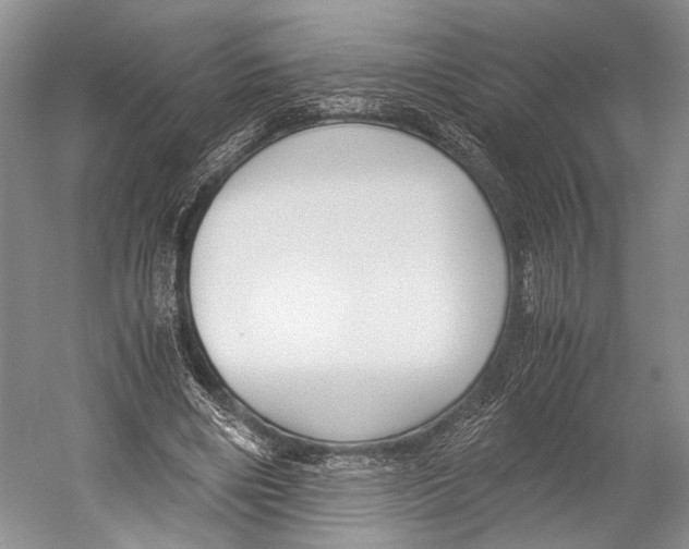X0000052920490200508050807