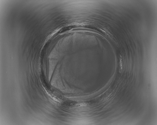X0000052920492200508050807