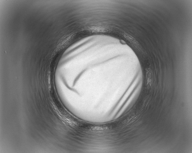 X0000052920494200508050807
