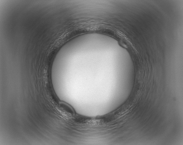 X0000052920497200508050807
