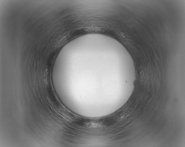 X0000052920498200508050807