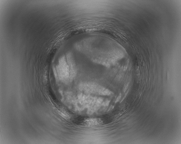 X0000052920499200508050807