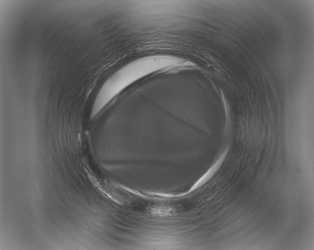 X0000052920500200508050807