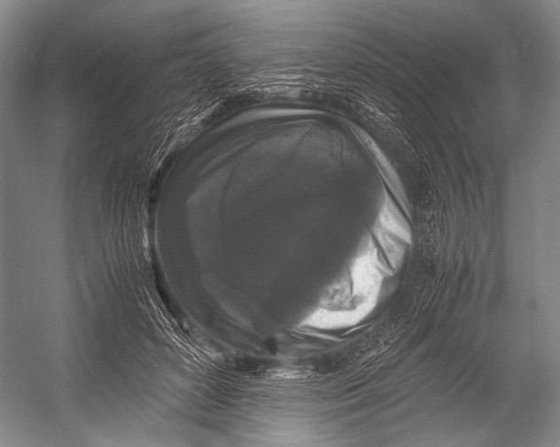 X0000052920504200508050807