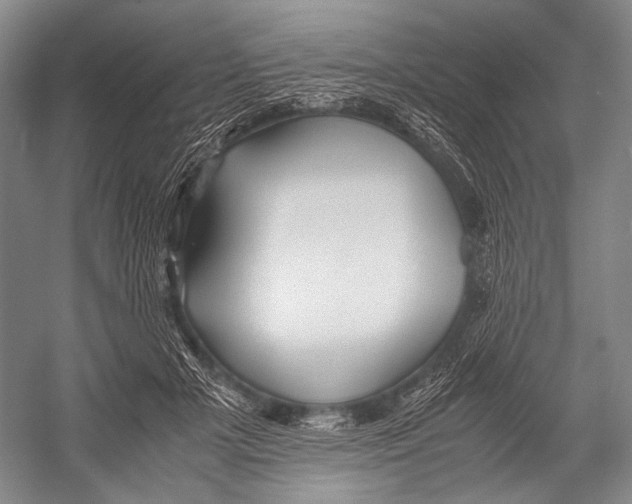 X0000052920505200508050807
