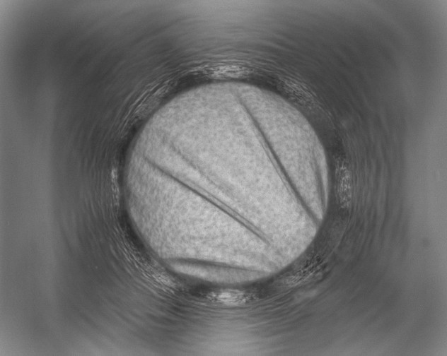 X0000052920506200508050807