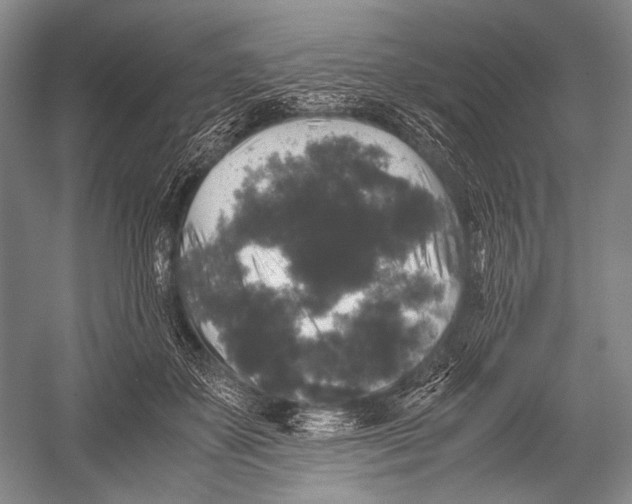 X0000052920507200508050807