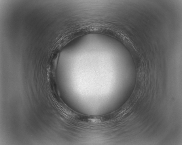 X0000052920509200508050807