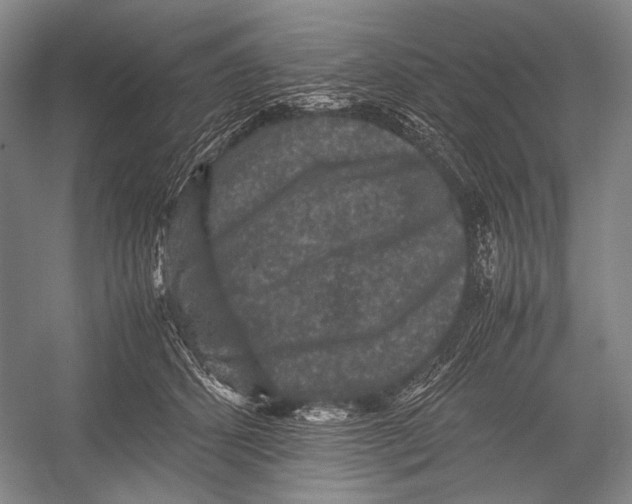 X0000052920512200508050807