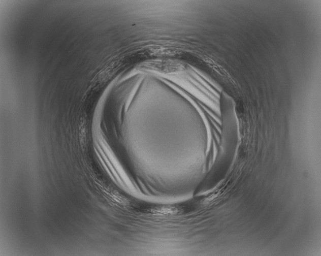 X0000052920513200508050807