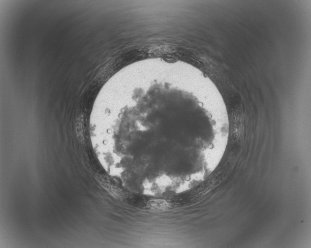 X0000052920519200508050807