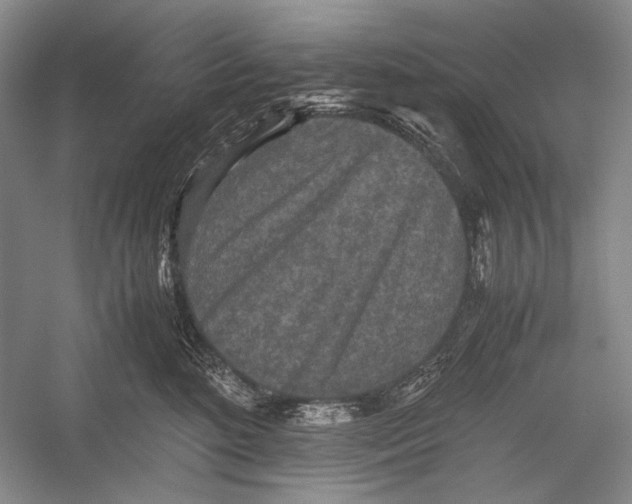 X0000052920520200508050807