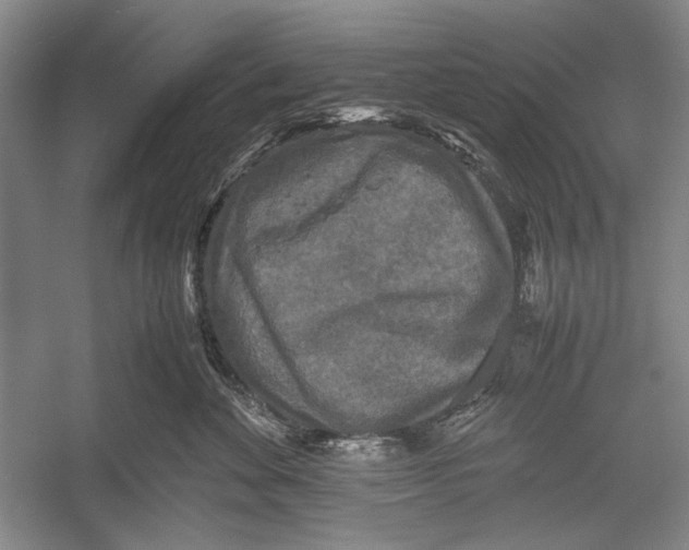 X0000052920524200508050806