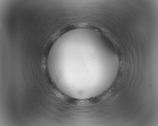 X0000052920525200508050806